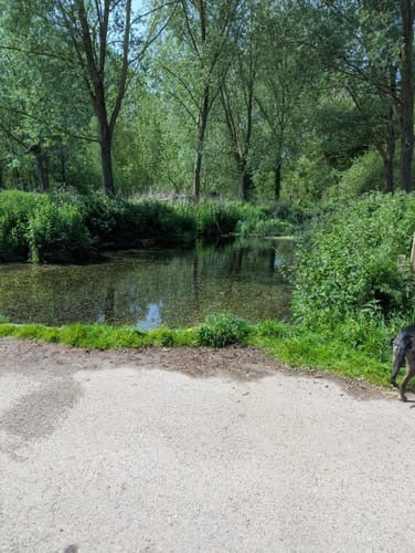 Kent Safari Walk